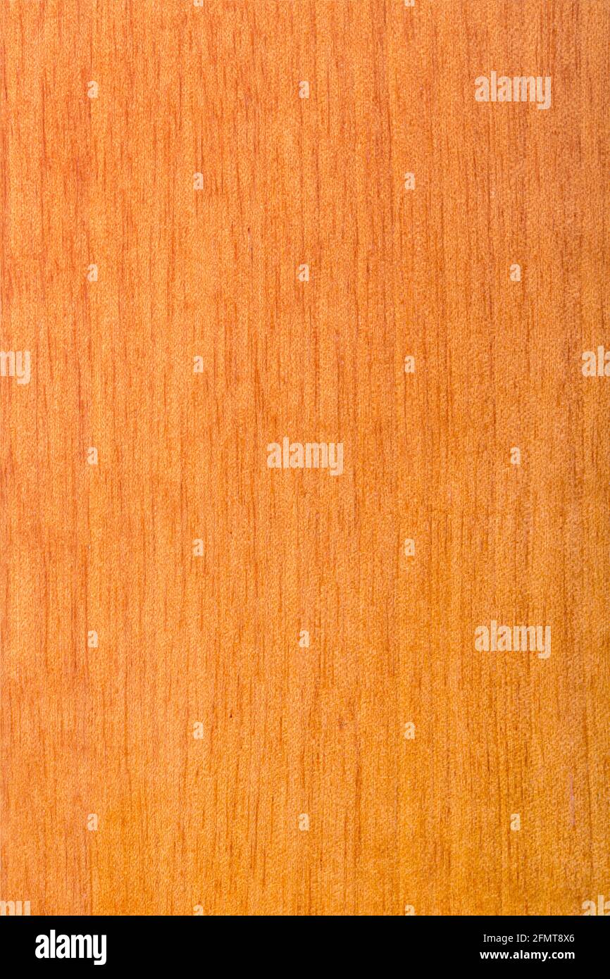 texture of natural wood, laminated wood varnished maple Stock Photo Alamy