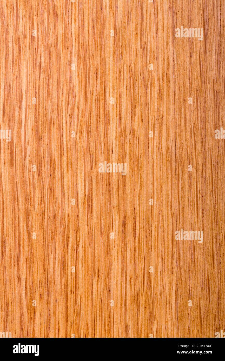 texture of natural wood, laminate oak varnished Stock Photo Alamy
