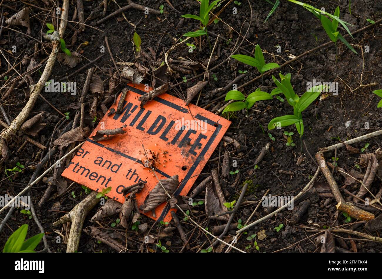 Brokensign on forest floor Stock Photo