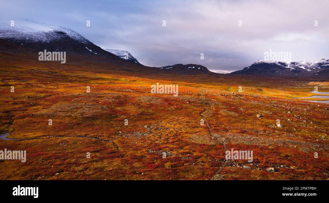 A picture taken with a drone of Kungsleden trail between Abiskojaure and Tjaktja, stupendous autumn colors, September 2020. Stock Photo