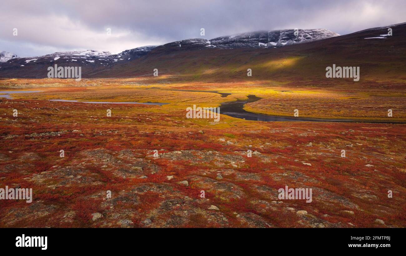 A picture taken with a drone of Kungsleden trail between Abiskojaure and Tjaktja, stupendous autumn colors, September 2020. Stock Photo