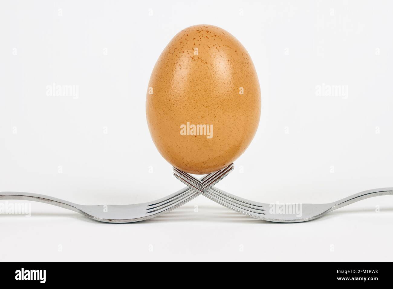 fresh egg, held between forks isolated on white background Stock Photo