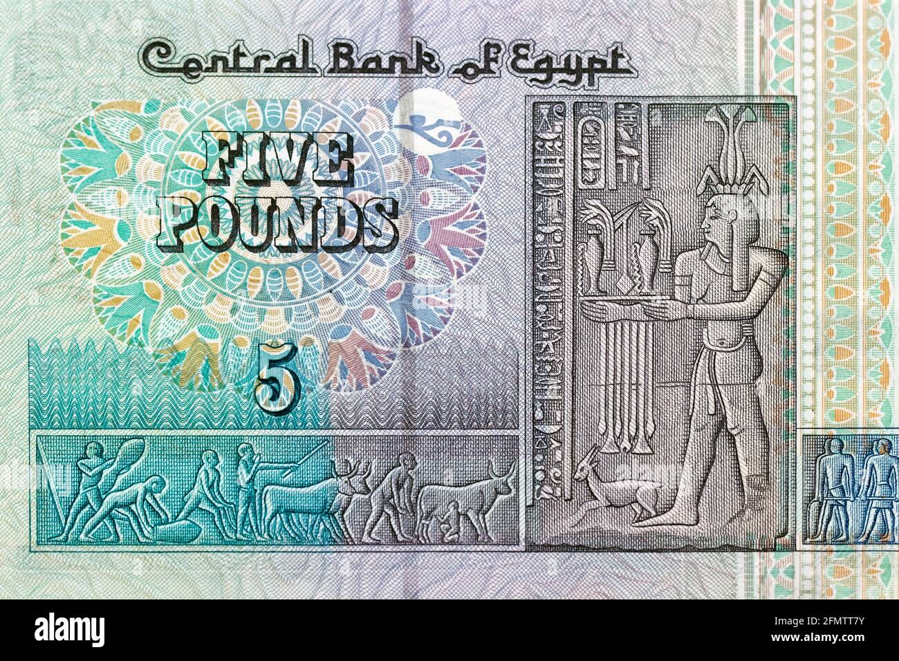 5 Five Pound Bill Of Egypt Green Pattern Detail Stock Photo Alamy 5 Five Pound Bill Of Egypt Green Pattern Detail Stock Photo Alamy