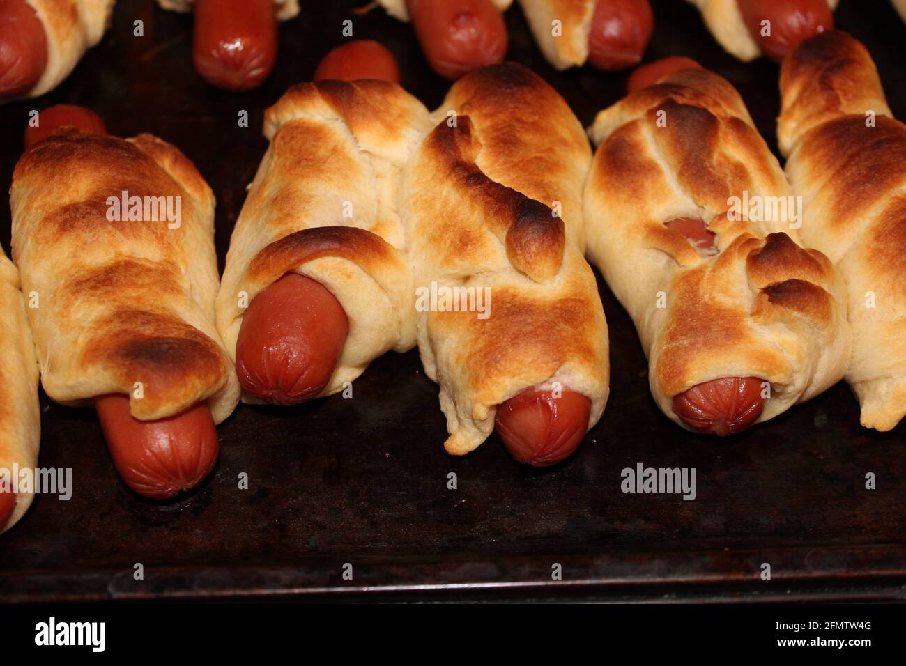 Pigs in a blanket shot closeup on a metal pan after being cooked that's browned and tasty in Croissant dough in Kansas. Stock Photo