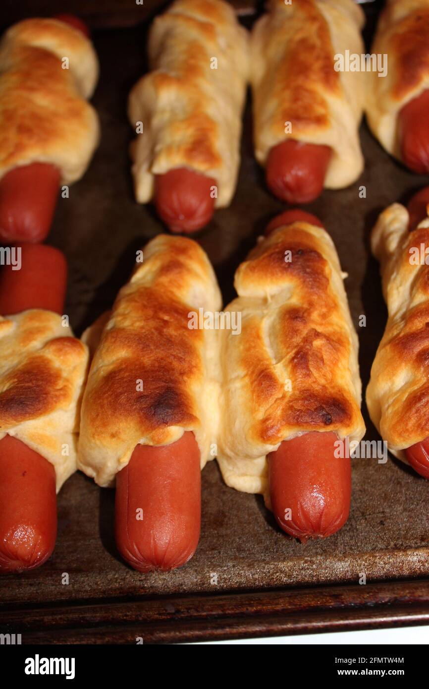 Pigs in a blanket shot closeup on a metal pan after being cooked that's browned and tasty in Croissant dough in Kansas. Stock Photo