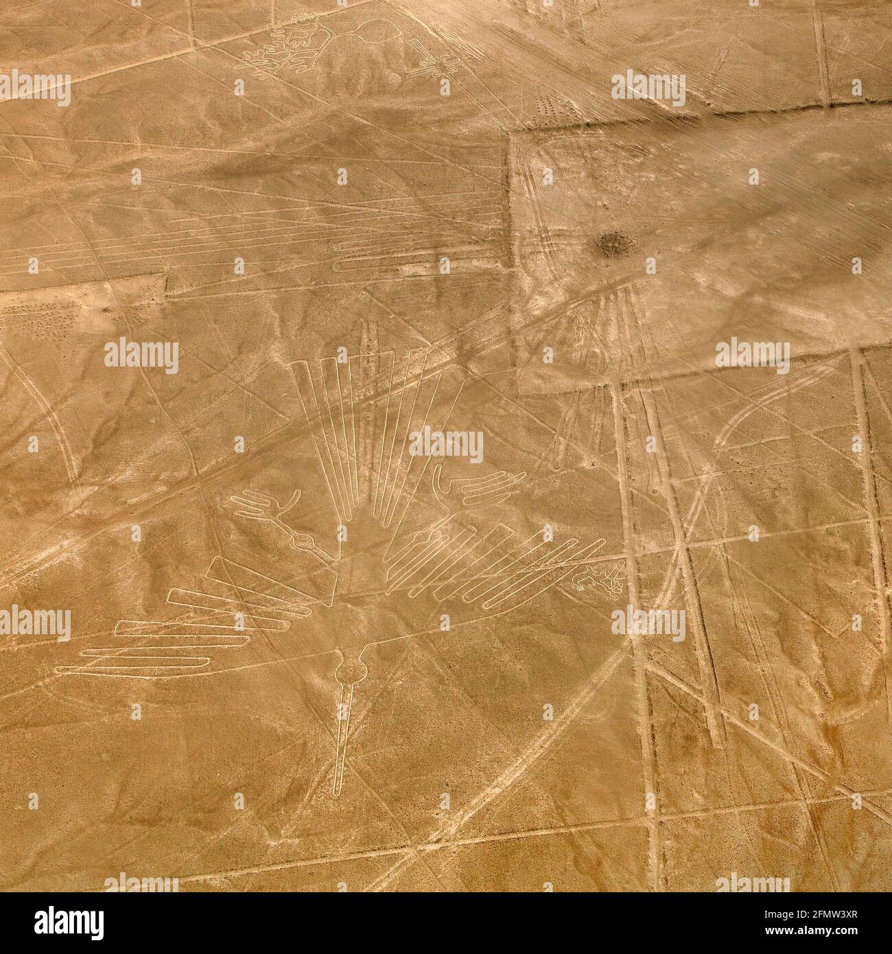 Condor geoglyph, Nazca mysterious lines and geoglyphs aerial view sepia colored, landmark in Peru Stock Photo