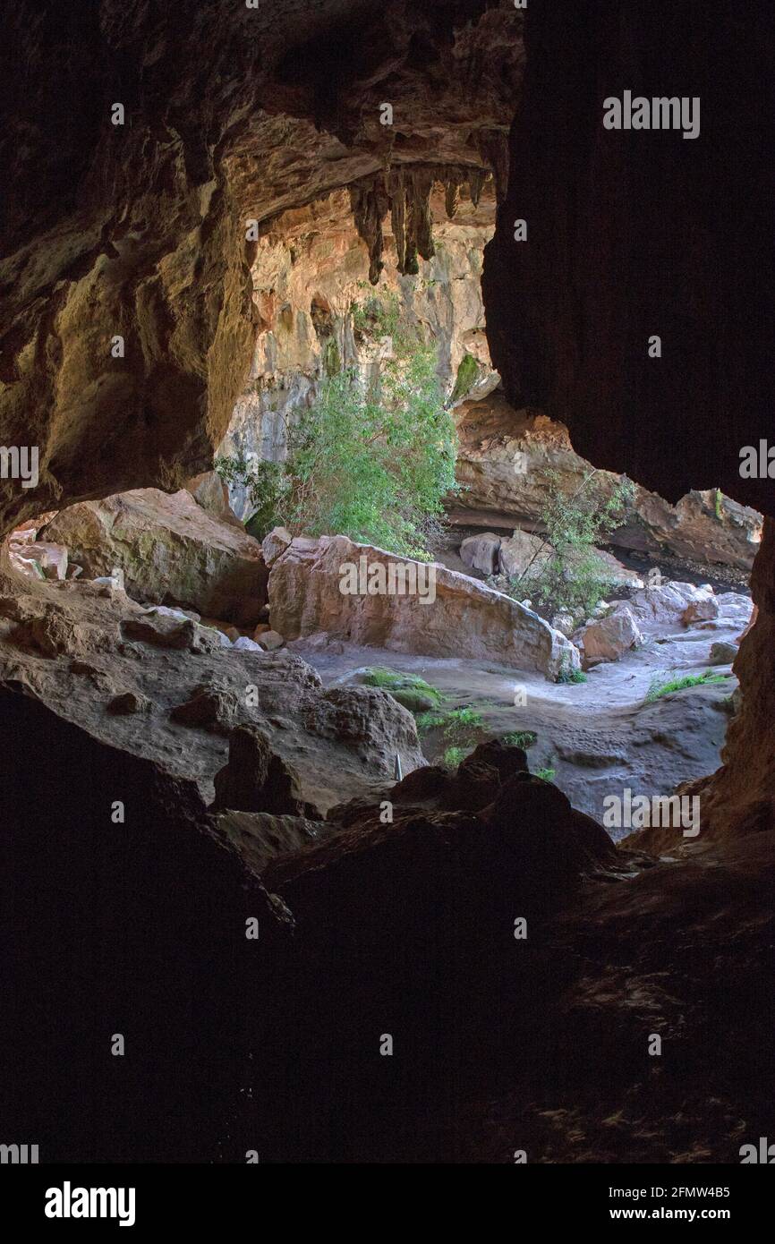 Arch Cave in Borenore Karst Conservation Reserve Stock Photo