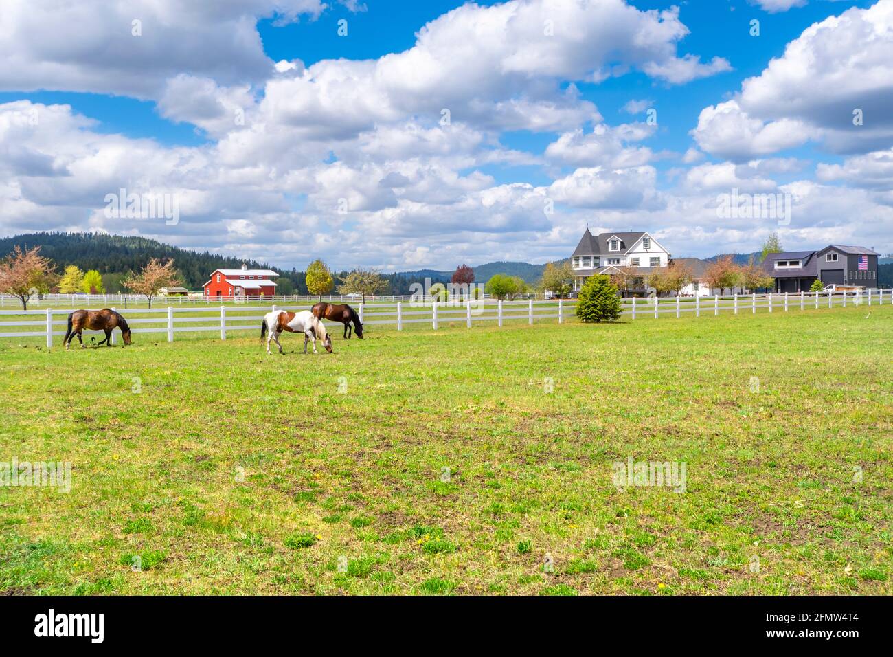 Ranch homes, barns and shops near a pasture with horses in the rural