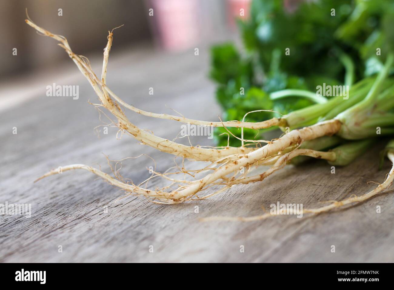 Green fresh coriander with roots on wooden table Stock Photo