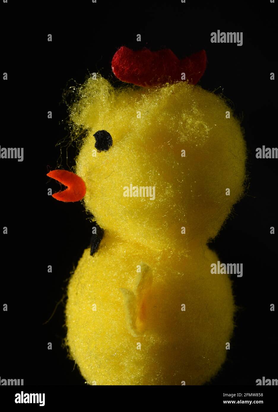 A still life studio vertical image on a black background of a yellow fuzzy toy baby chick, an Easter toy, with its hair fuzzed up in front Stock Photo