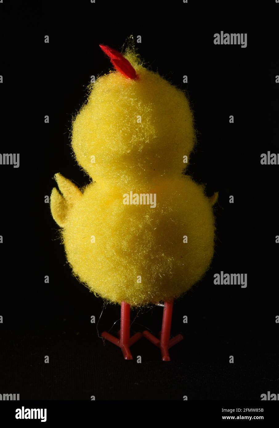 A still life studio vertical image on a black background of the rear view of a yellow fuzzy toy baby chick, an Easter toy Stock Photo