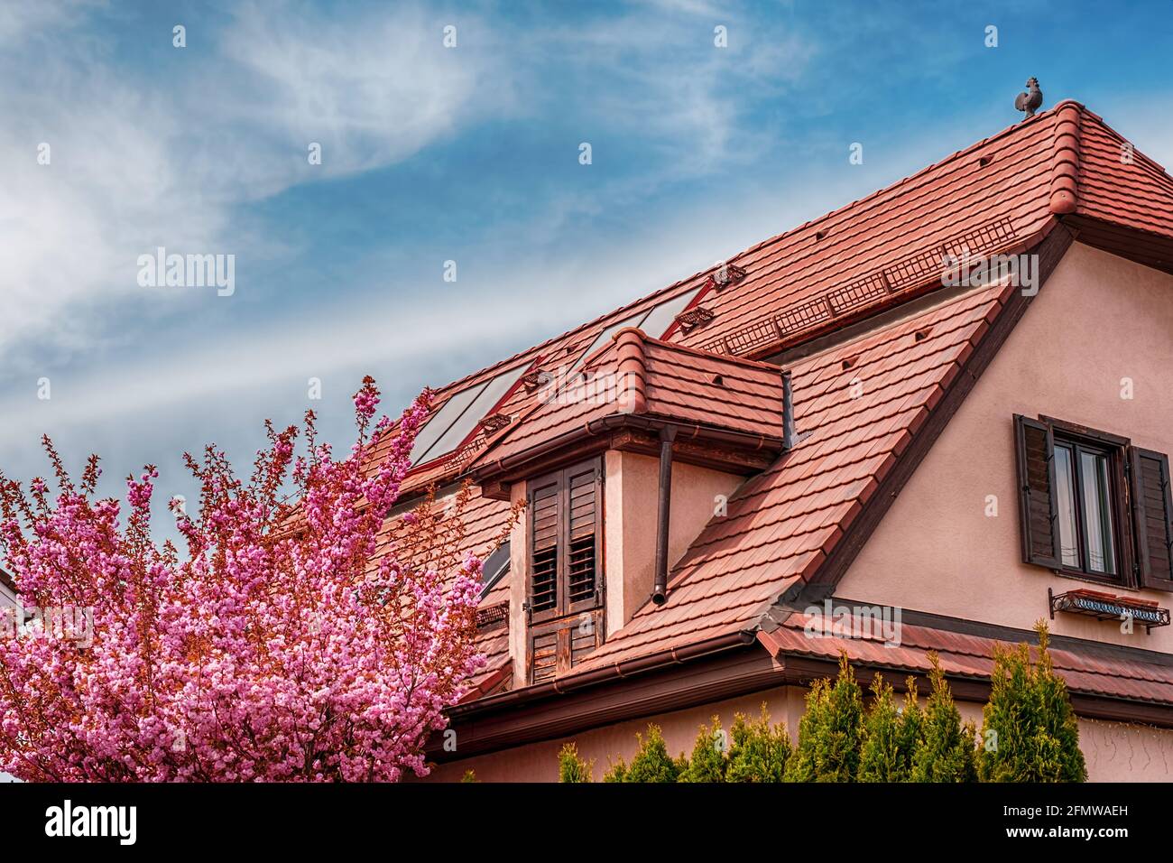 Cherry Blossom House Japan High Resolution Stock Photography And Images Alamy