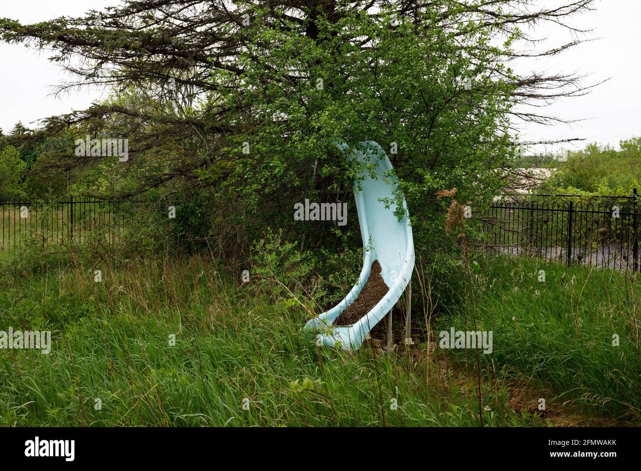 A pool water slide that is completely overgrown. Stock Photo
