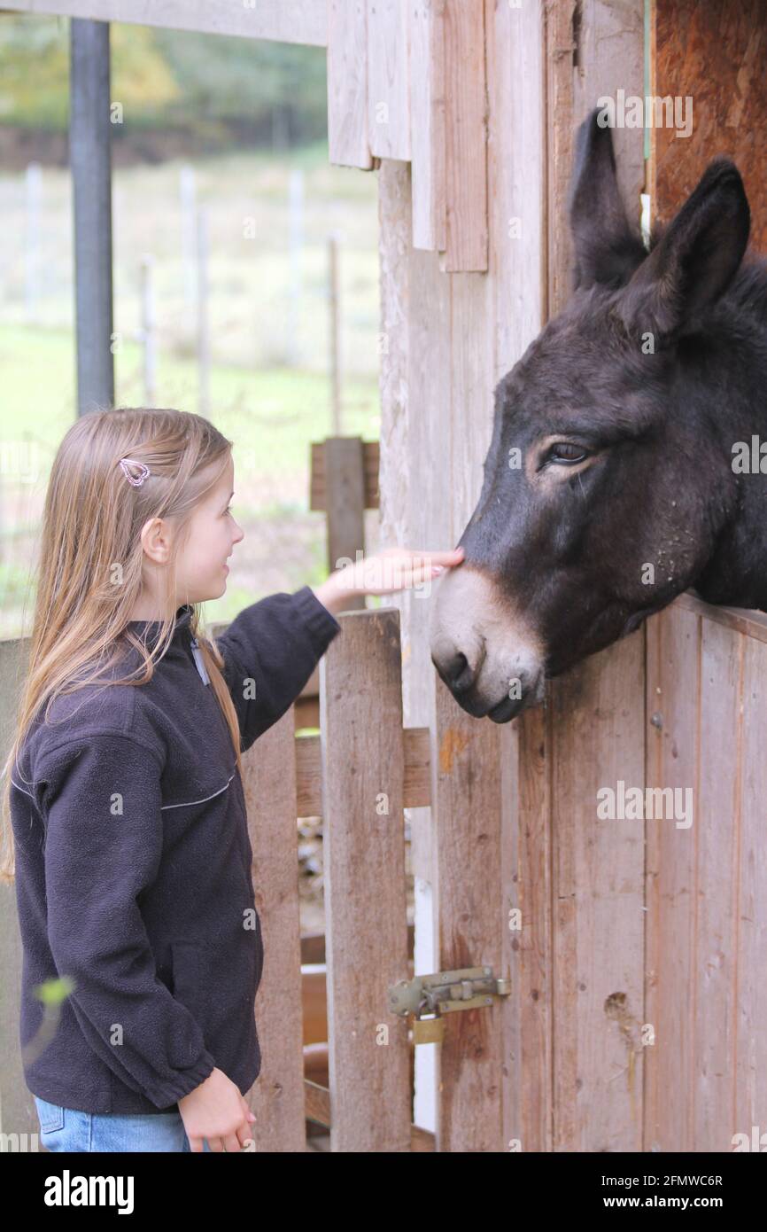 a blond girl cuddling a black donkey Stock Photo