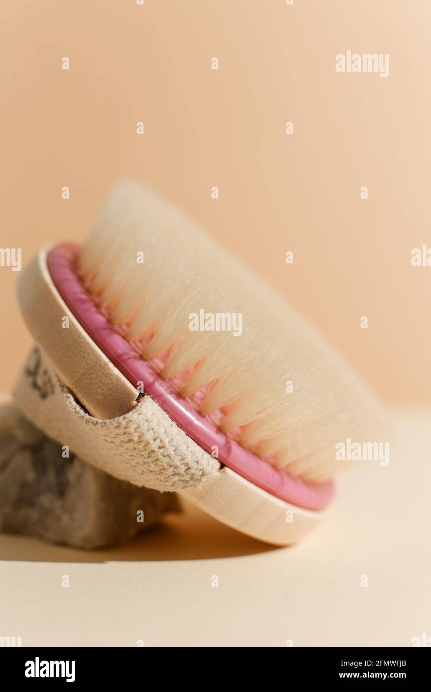 Plant Based Cleaning Brush Set Kitchen beige background. Eco friendly