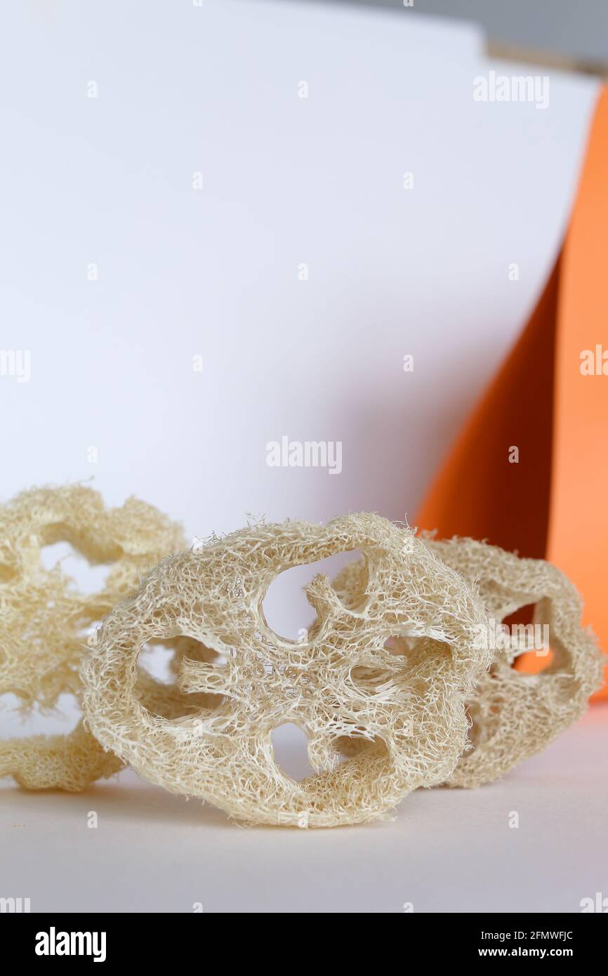 Bath accessories concept. Natural beige sponge Luffa cylindricaon on ...