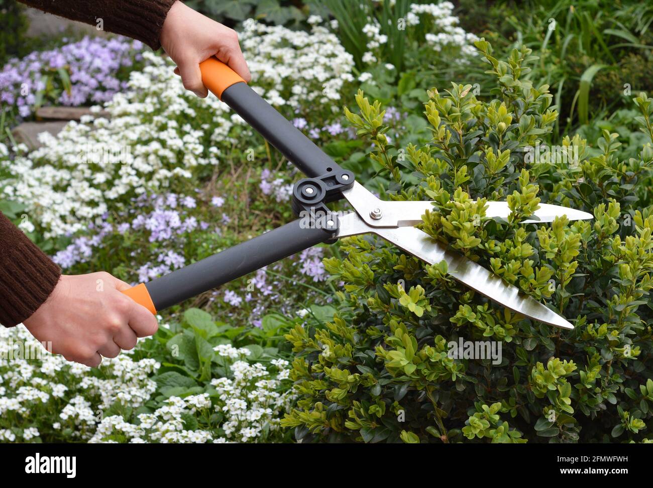 Garden shears hi-res stock photography and images - Alamy