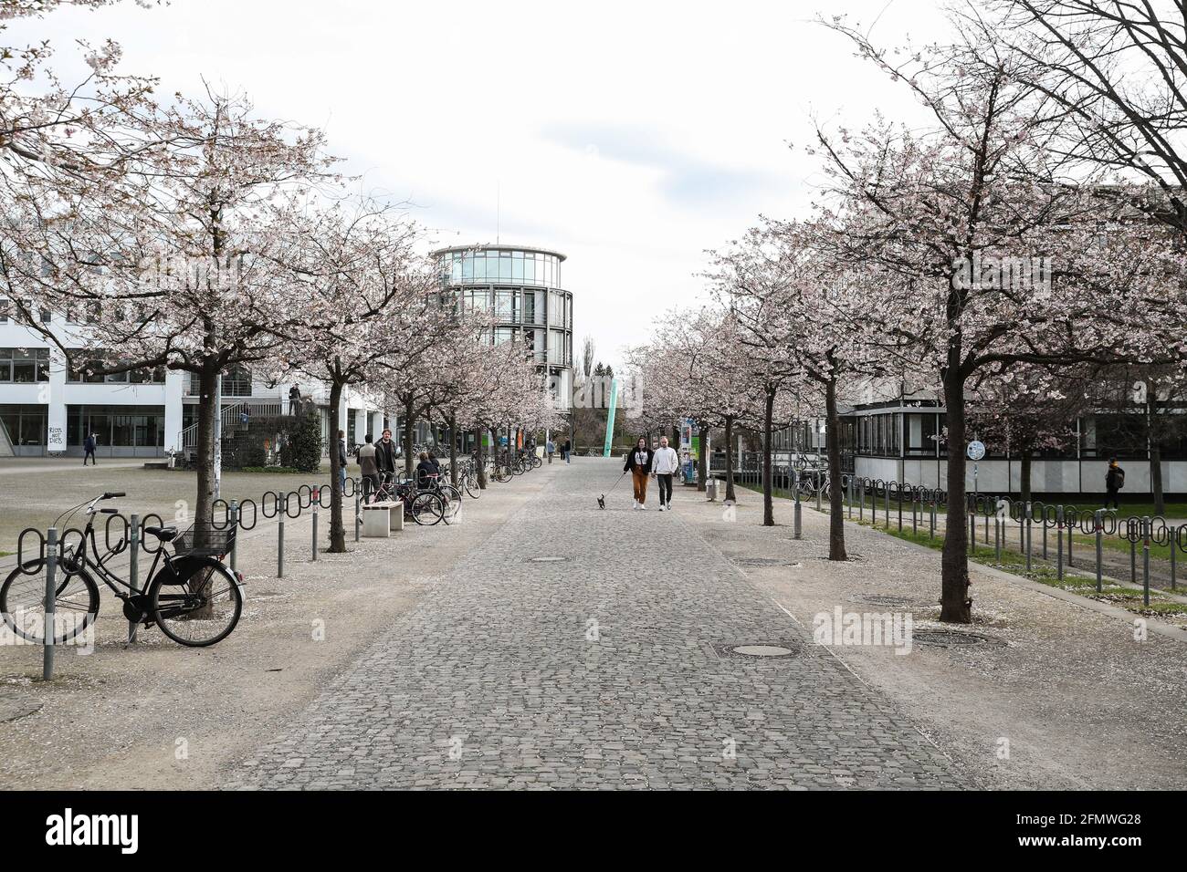 University of goettingen hi-res stock photography and images - Alamy