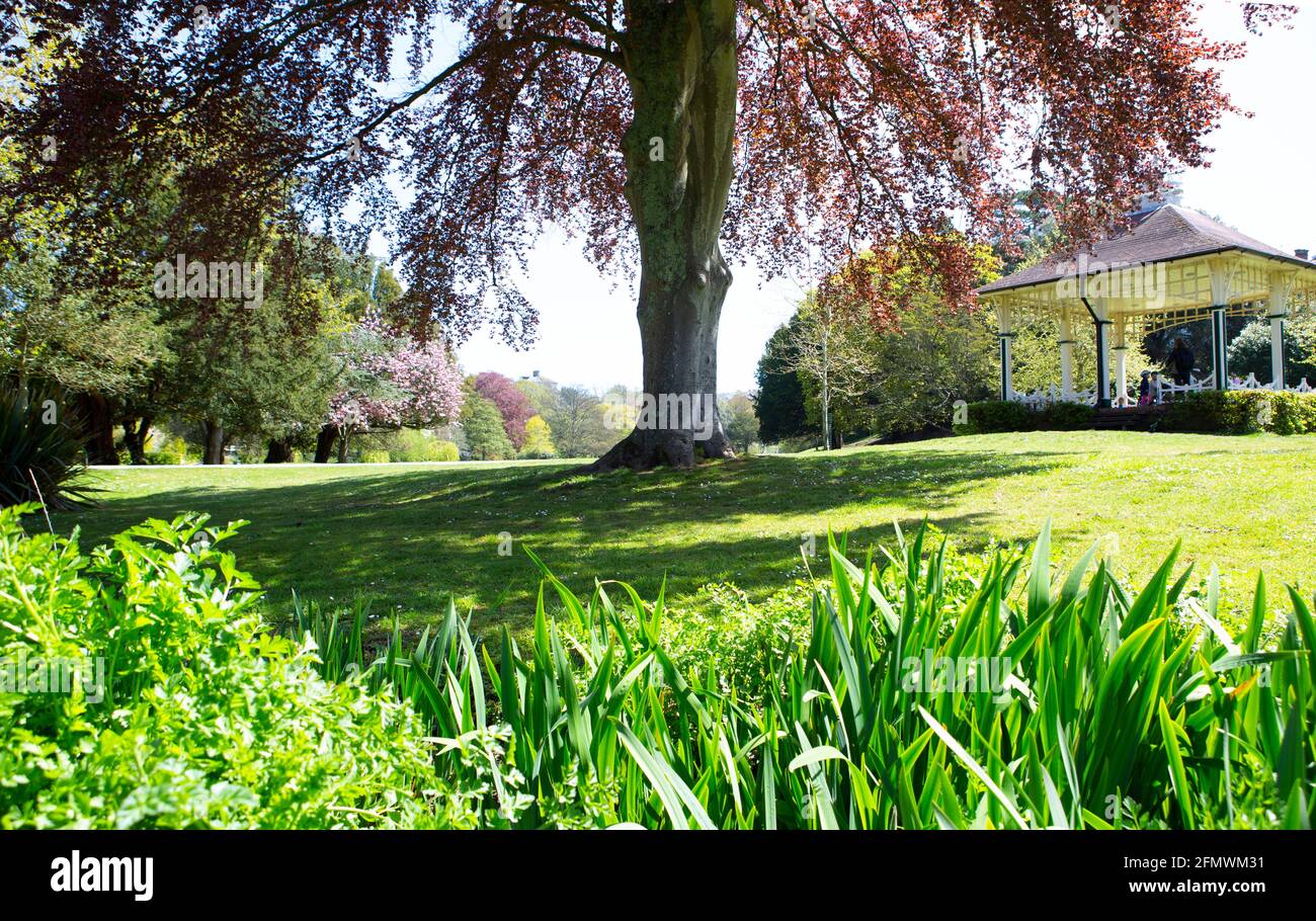 Blossom tree in Alexandra Park with Summer House Stock Photo Alamy