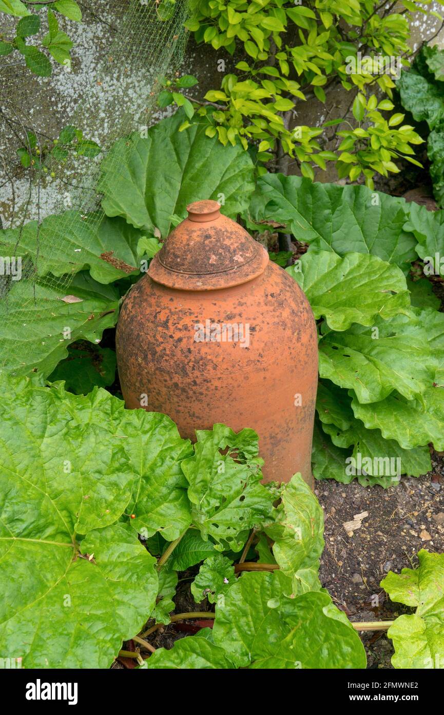 English vegetable garden hires stock photography and images Alamy