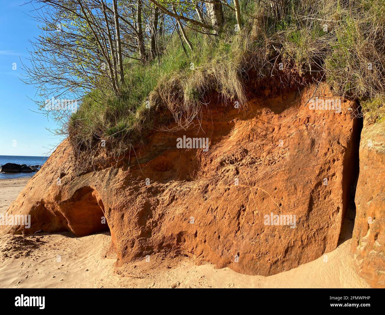 Orange Sandstone rock cliff by the sea on which grows green grass and trees. Stock Photo