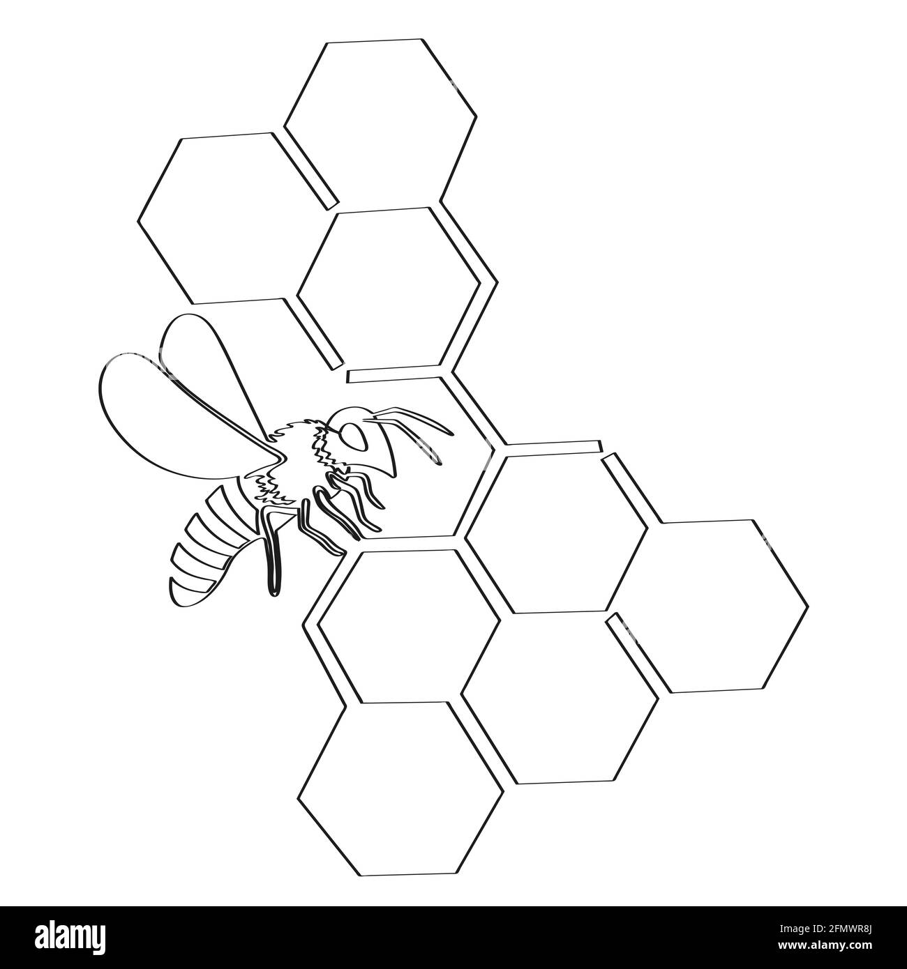 Bee and honeycomb are drawn with one solid line. Isolated on white background stock vector illustration Stock Vector