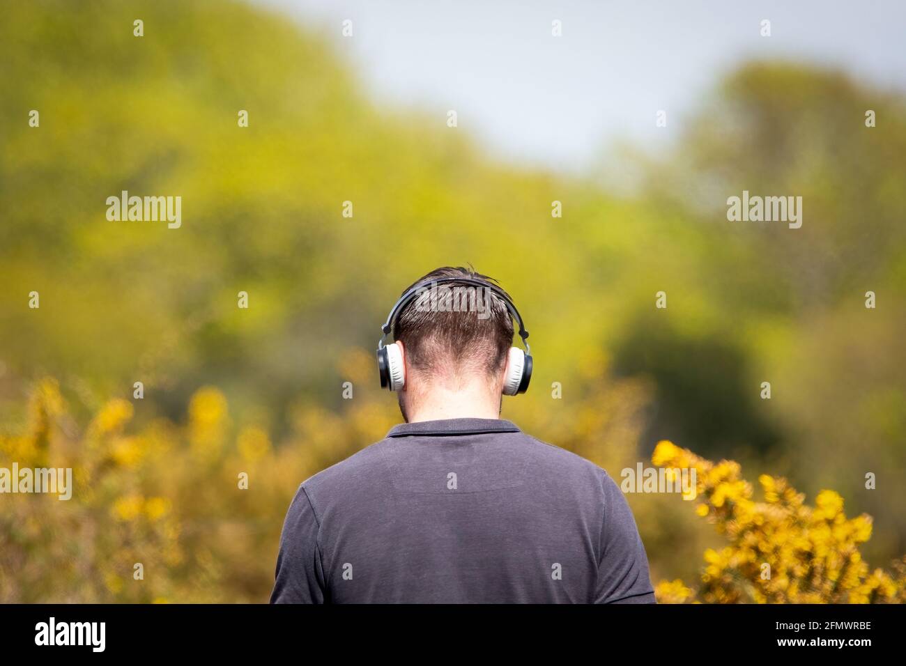 The rear view of a man wearing headphones whilst walking in the countryside Stock Photo