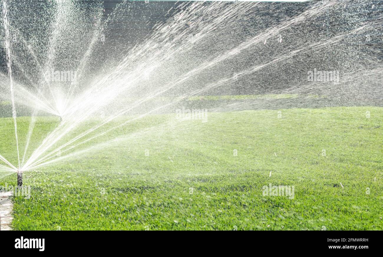 Garden irrigation system lawn. Automatic lawn sprinkler watering green ...