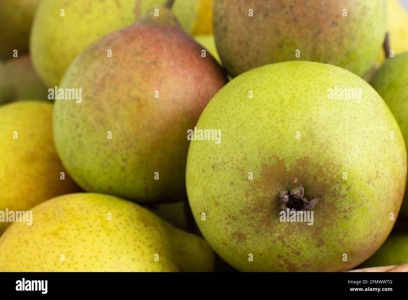 Ripe green pears, close-up. Background from fruit pears Stock Photo - Alamy
