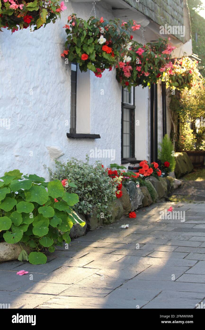 Cottages in the village of Hawkshead  Cumbria the uk Stock Photo