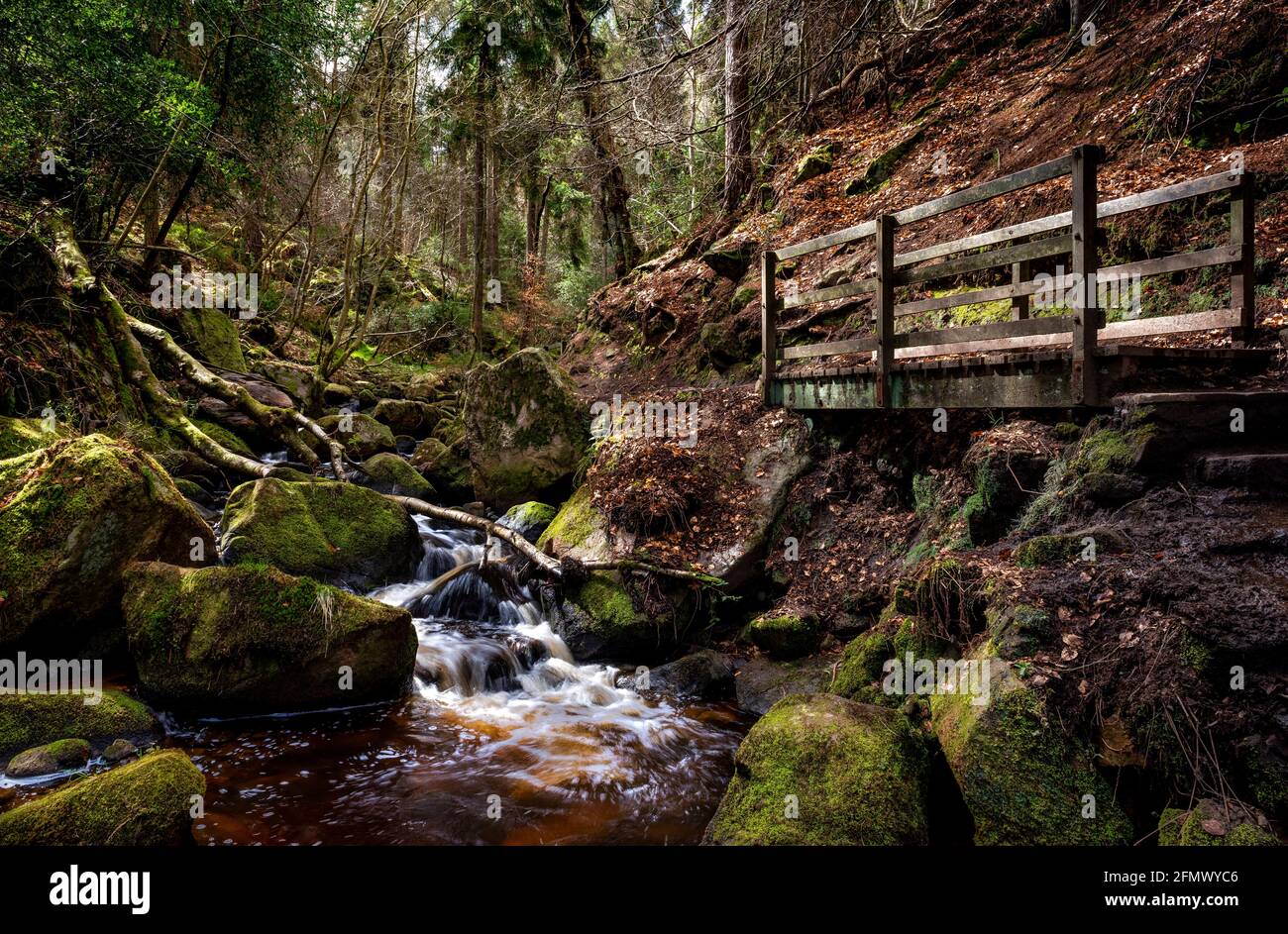 Wyming brook nature reserve, peak district national park, Sheffield, south Yorkshire, England, UK Stock Photo