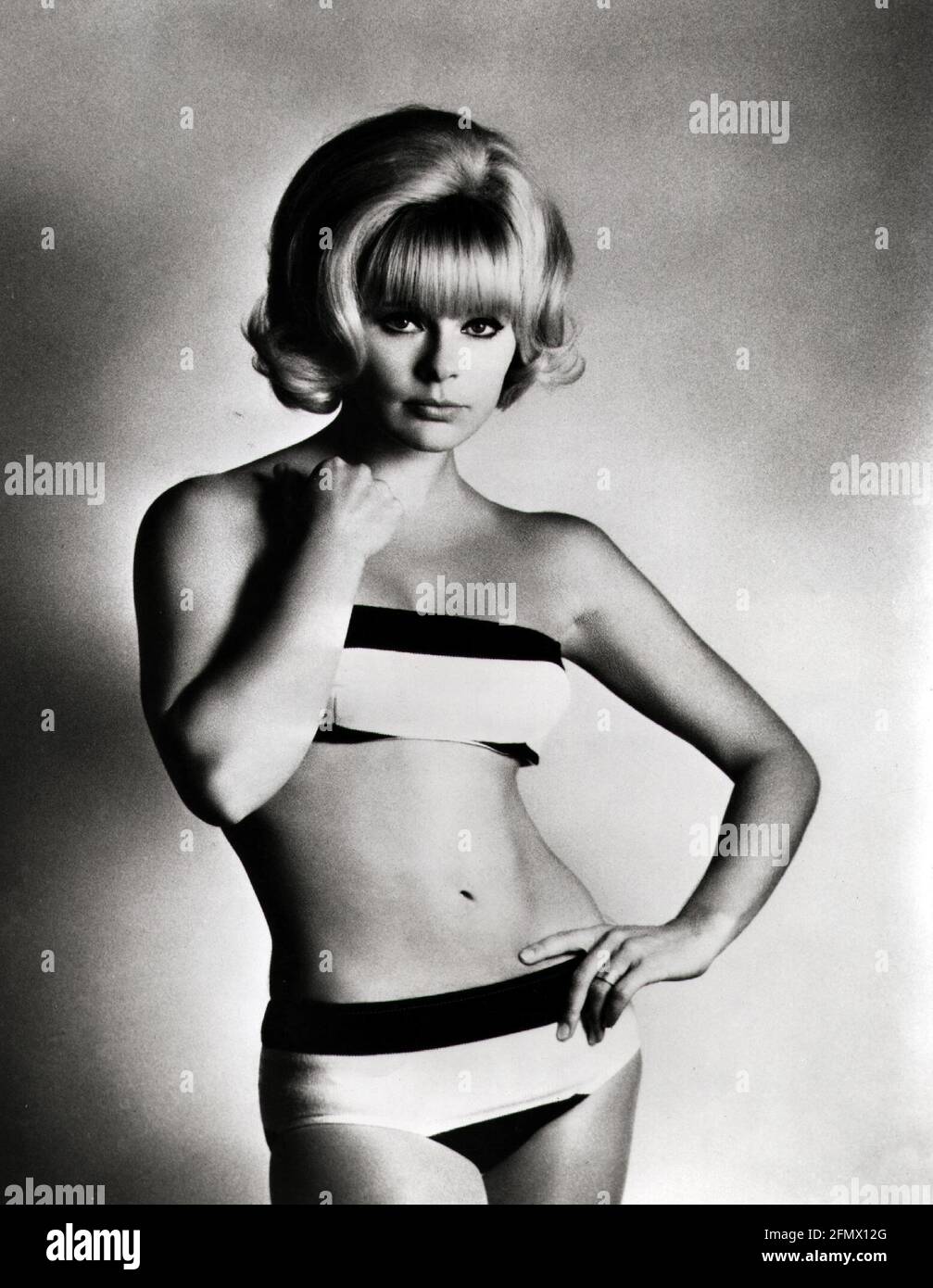 Sommer, Elke, * 5.11.1940, German actress, half length, wearing bikini, studio, 1960s, ADDITIONAL-RIGHTS-CLEARANCE-INFO-NOT-AVAILABLE Stock Photo