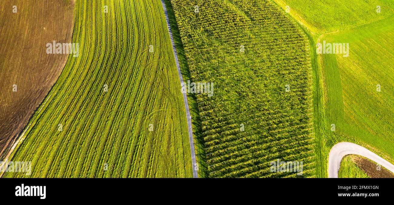 Plan View Rural Texture Natural background. Rural geometry. Aerial view Stock Photo - Alamy