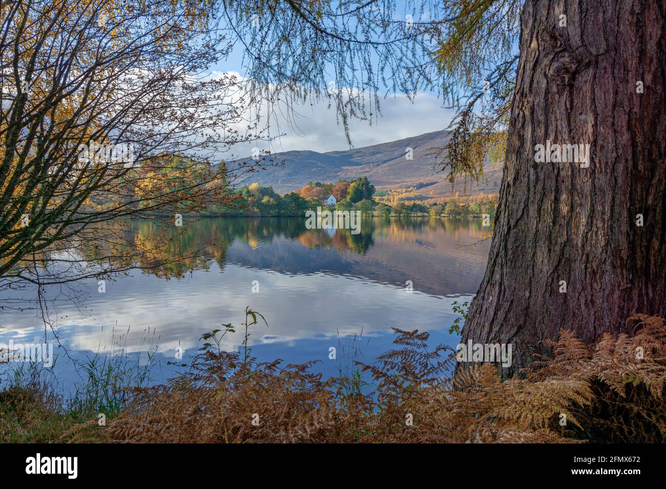 Loch Alvie, Aviemore, Scotland, United KIngdom Stock Photo