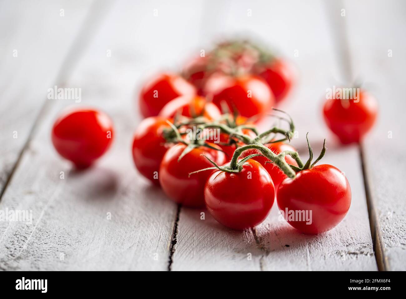 Freshly grown tomartoes in the garden with lovely red colour full of summer sun rays. Stock Photo