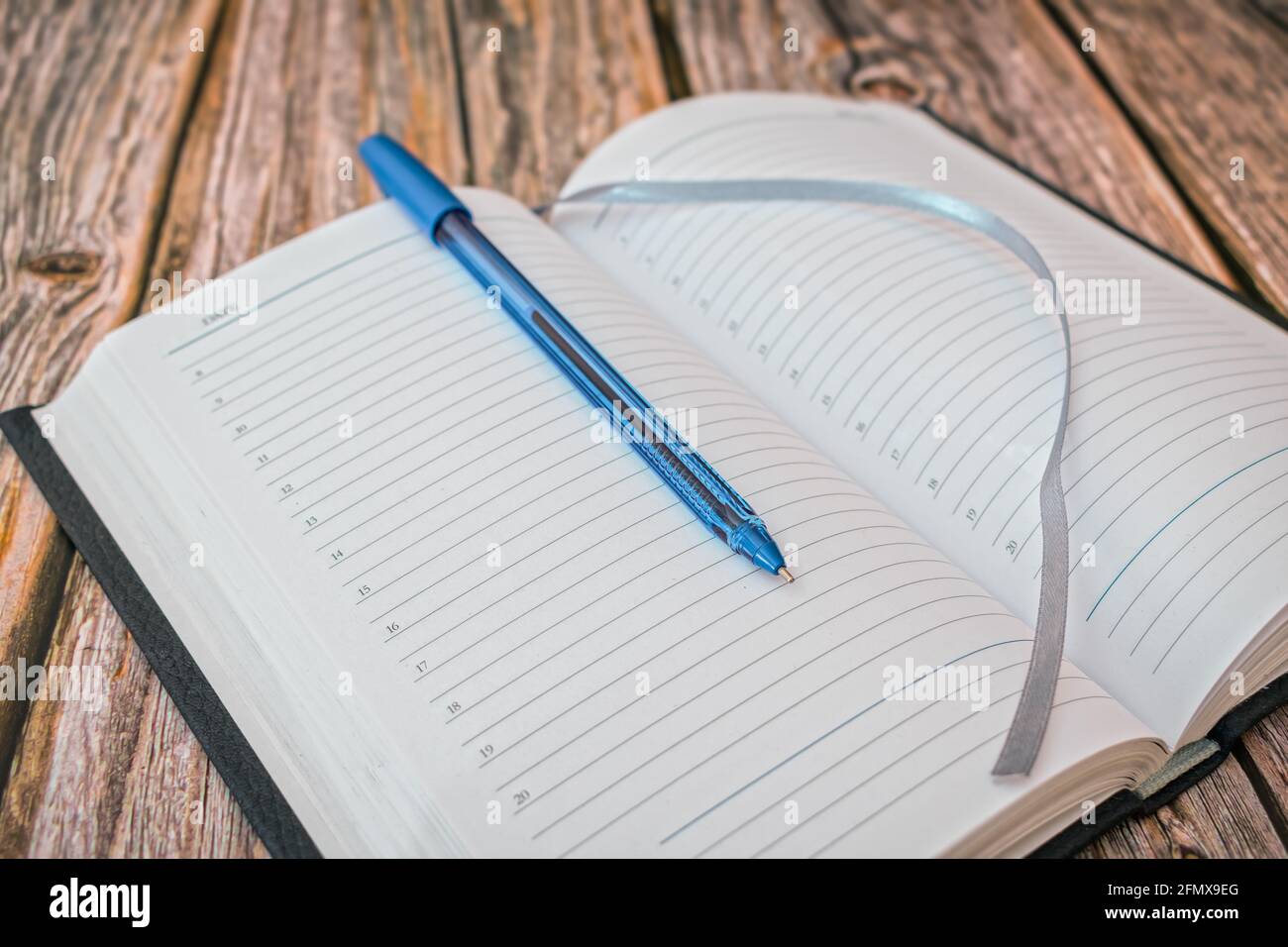 Blank diary pages and ballpoint pen Stock Photo