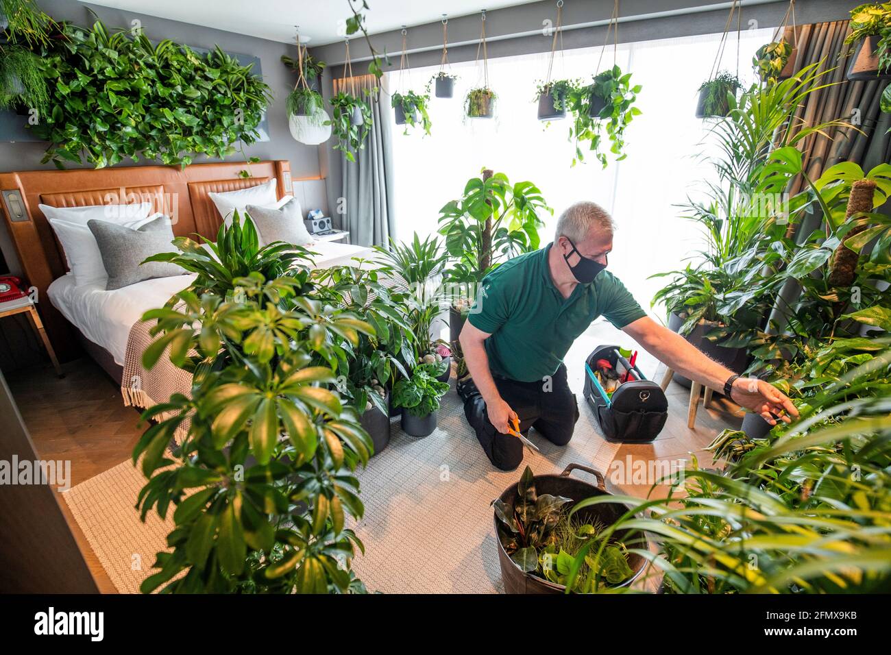 Horticulturalist Steve Soika tends to the plants in the new 'nature-themed' room at The Kimpton Blythswood Square hotel in Glasgow. ÔLa Chambre VerteÕ, is an immersive luxury hotel suite experiment that measures the psychological and physical benefits of biophilic design and has been launched during Mental Health Awareness Week 2021. Picture date: Wednesday May 12, 2021. Stock Photo