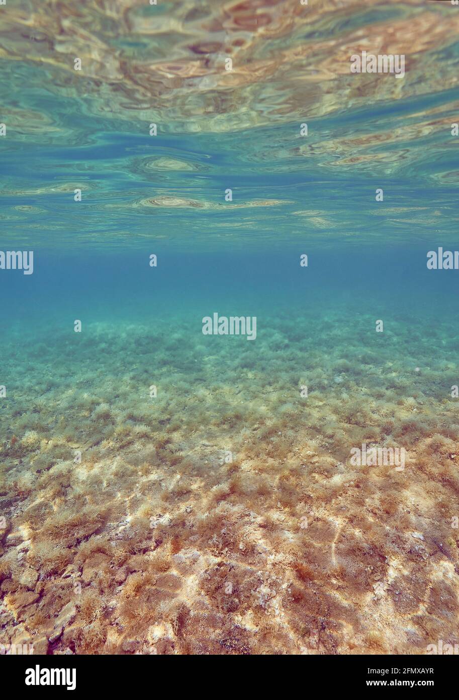 A view of an underwater landscape. Sea bottom is reflected in the sea surface while the horizon dissapears iin blue sea. Stock Photo