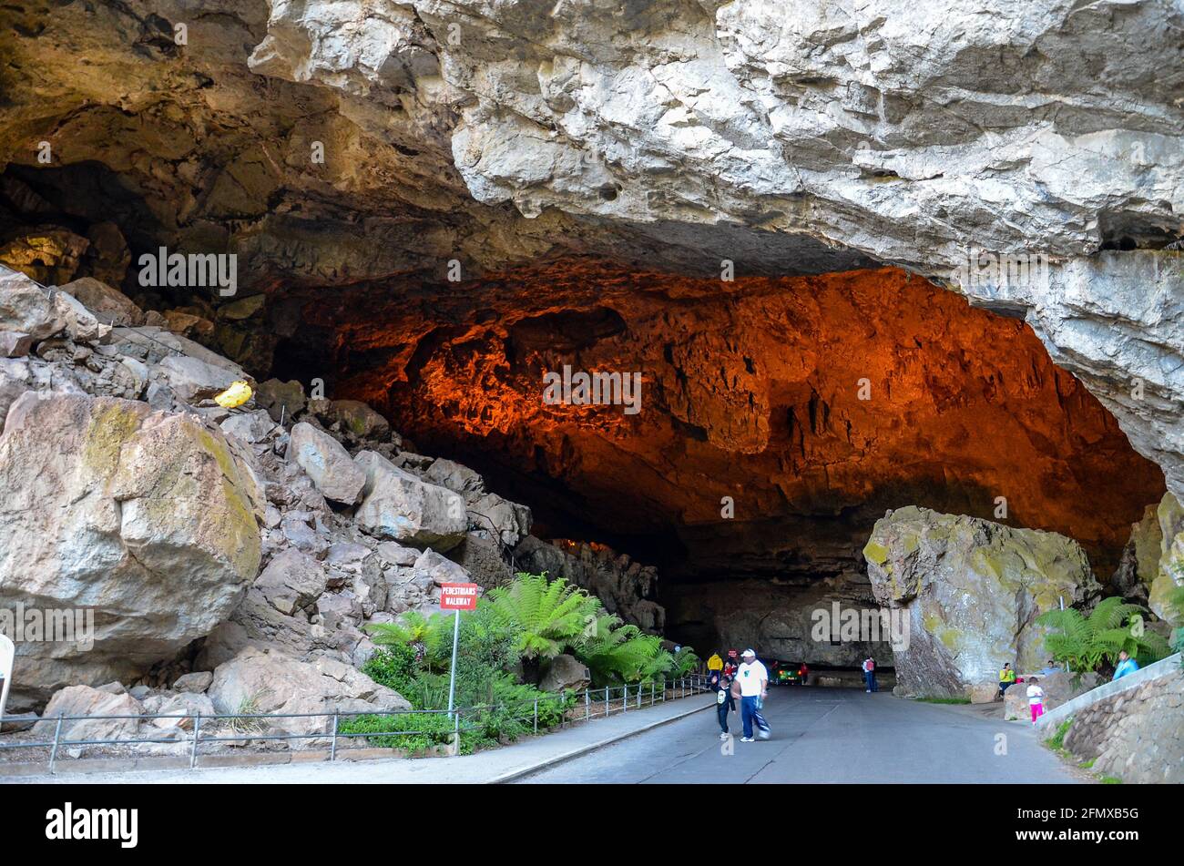 Grand entrance to the Jenolan Caves surrounded by tropical plants and illuminated with