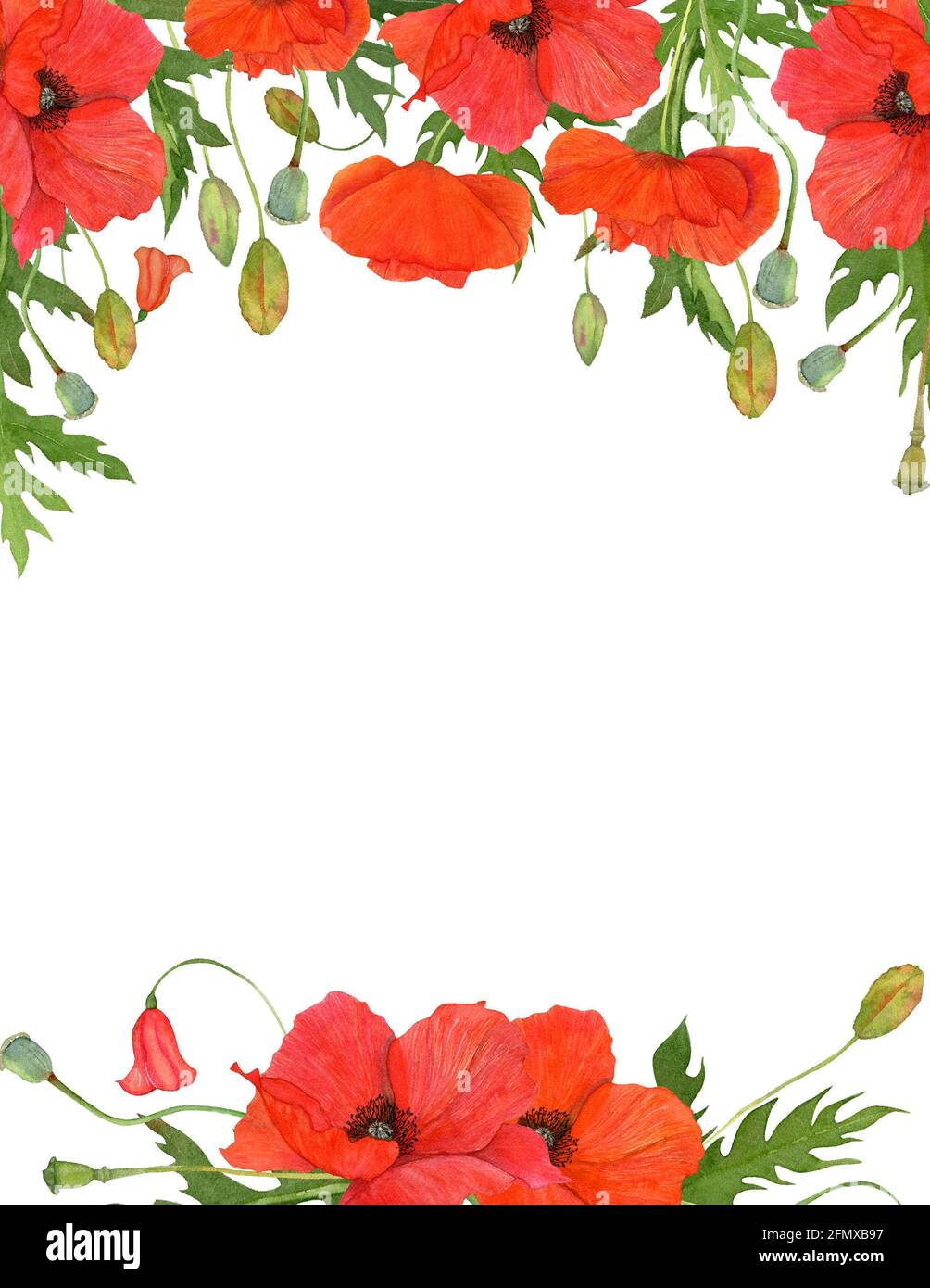 red flowers border