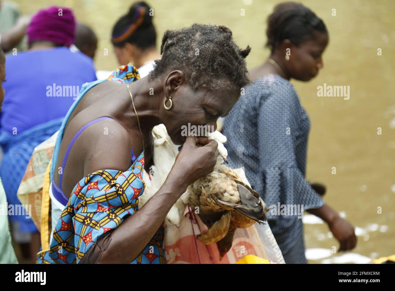 Osun Osogbo: A woman praying with a sacrificial dove and hen during the Osun Osogbo Festival. Stock Photo