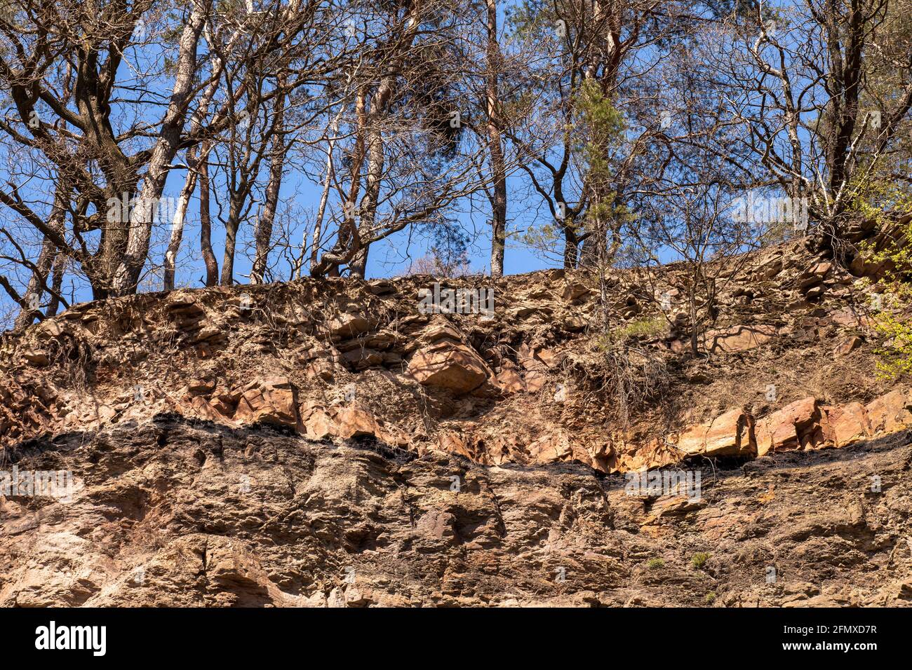 at the Duenkelberg quarry in the Muttental valley near Witten-Bommern you can see a coal layer, the first hard coal in the Ruhr area is said to have b Stock Photo