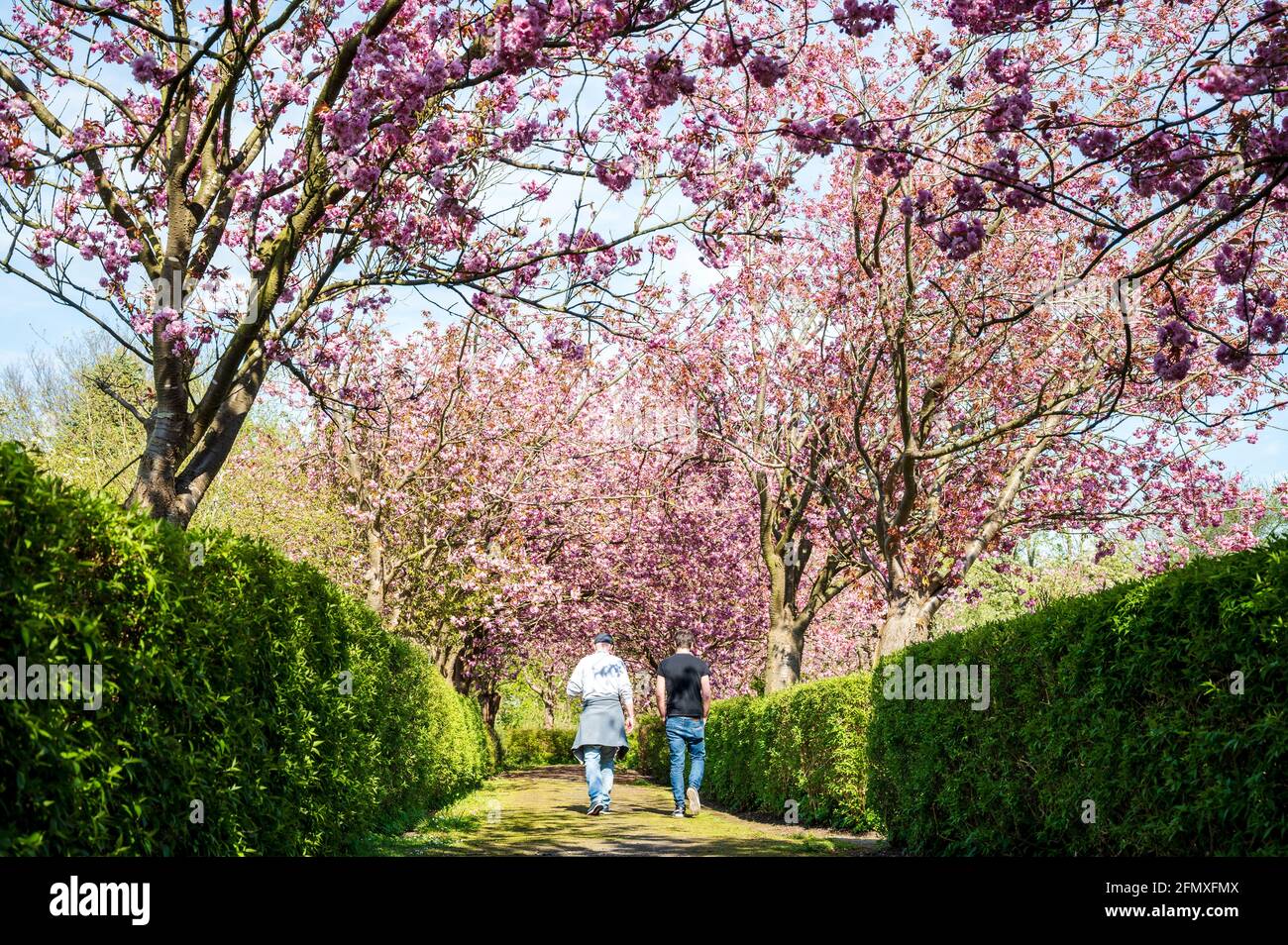 Menschen park garten hires stock photography and images Alamy