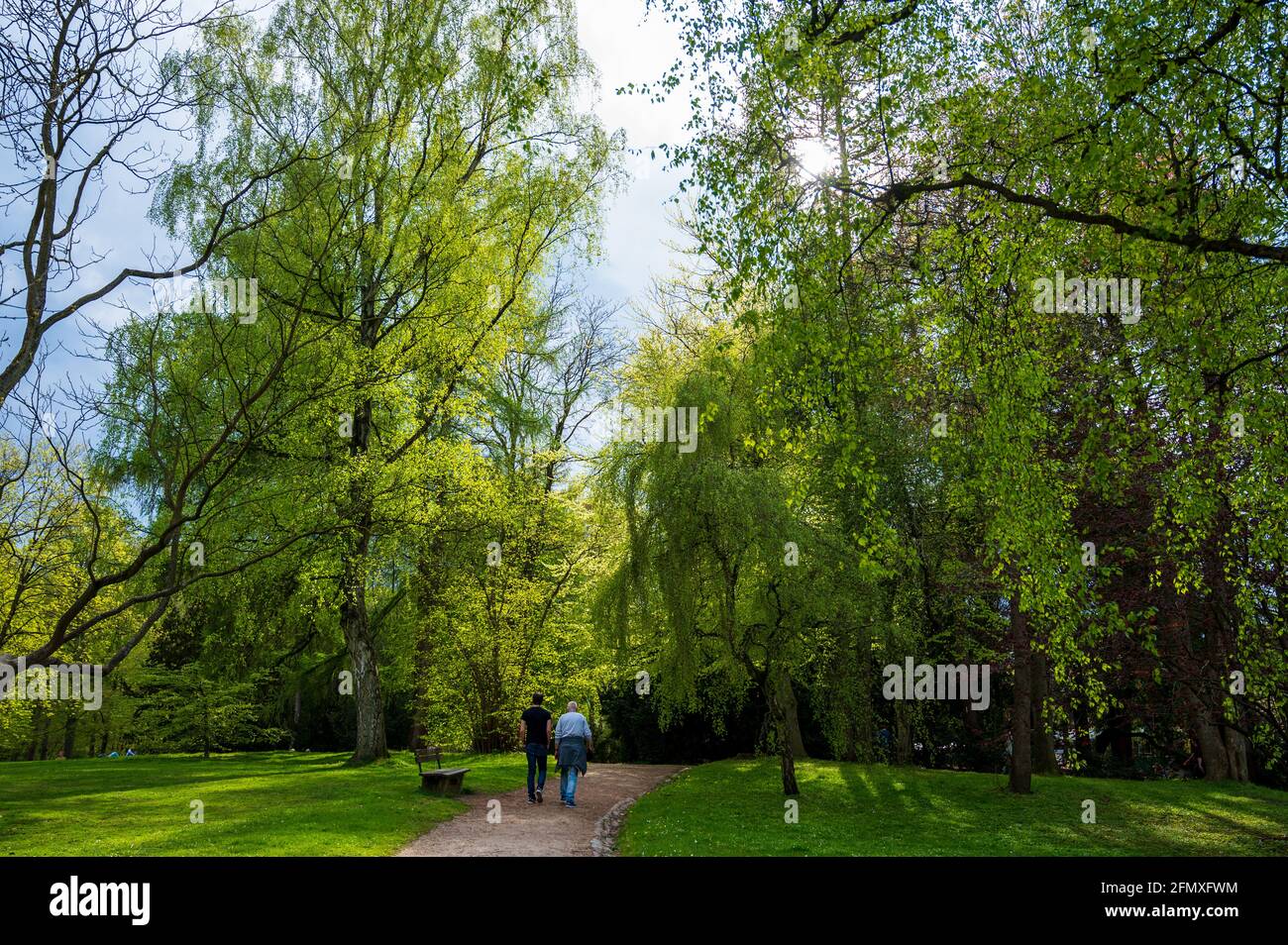 Der Diederichsenpark in Kiel eine Parkanlage im Frühjahr Stock Photo