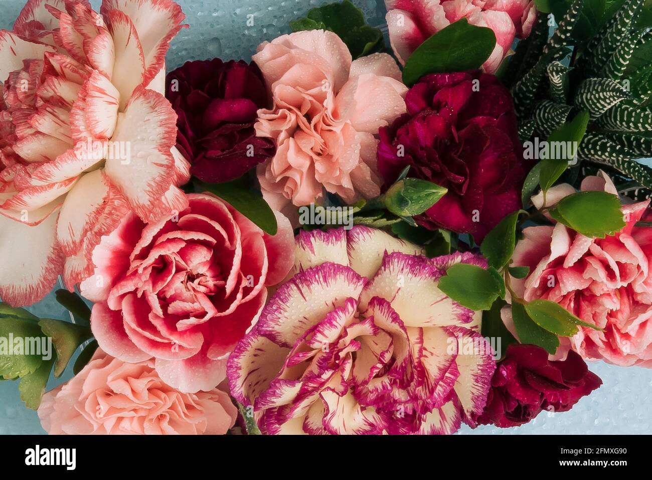Background from bright spring flowers in full bloom Stock Photo - Alamy