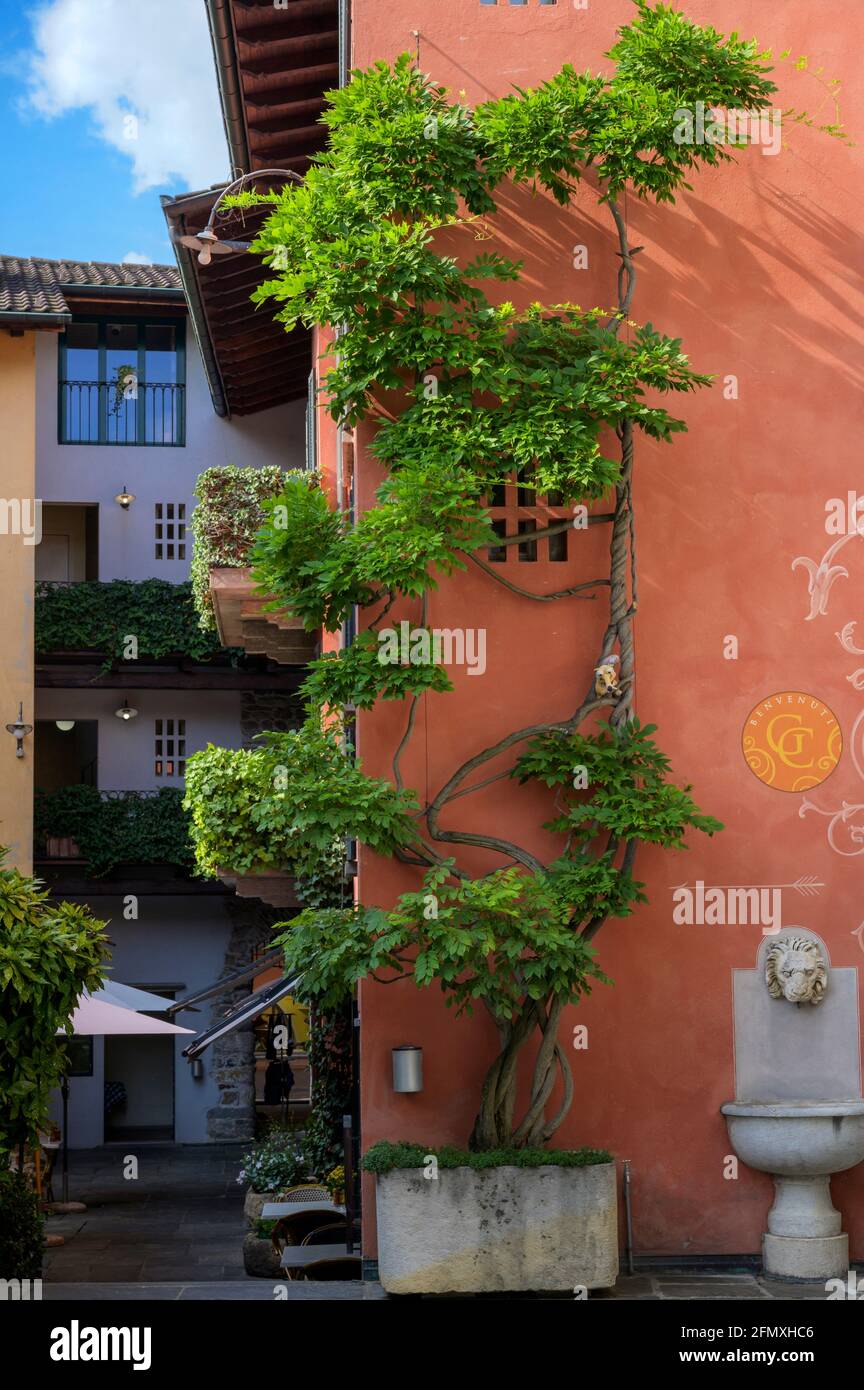 Typical street with plants, Ascona, Ticino, Switzerland. Stock Photo