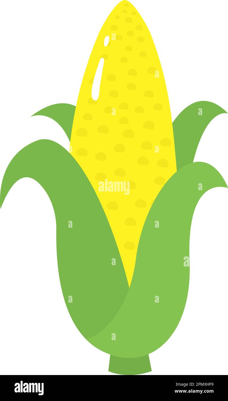 Corn icon isolated on white background. Vector flat illustration Stock ...