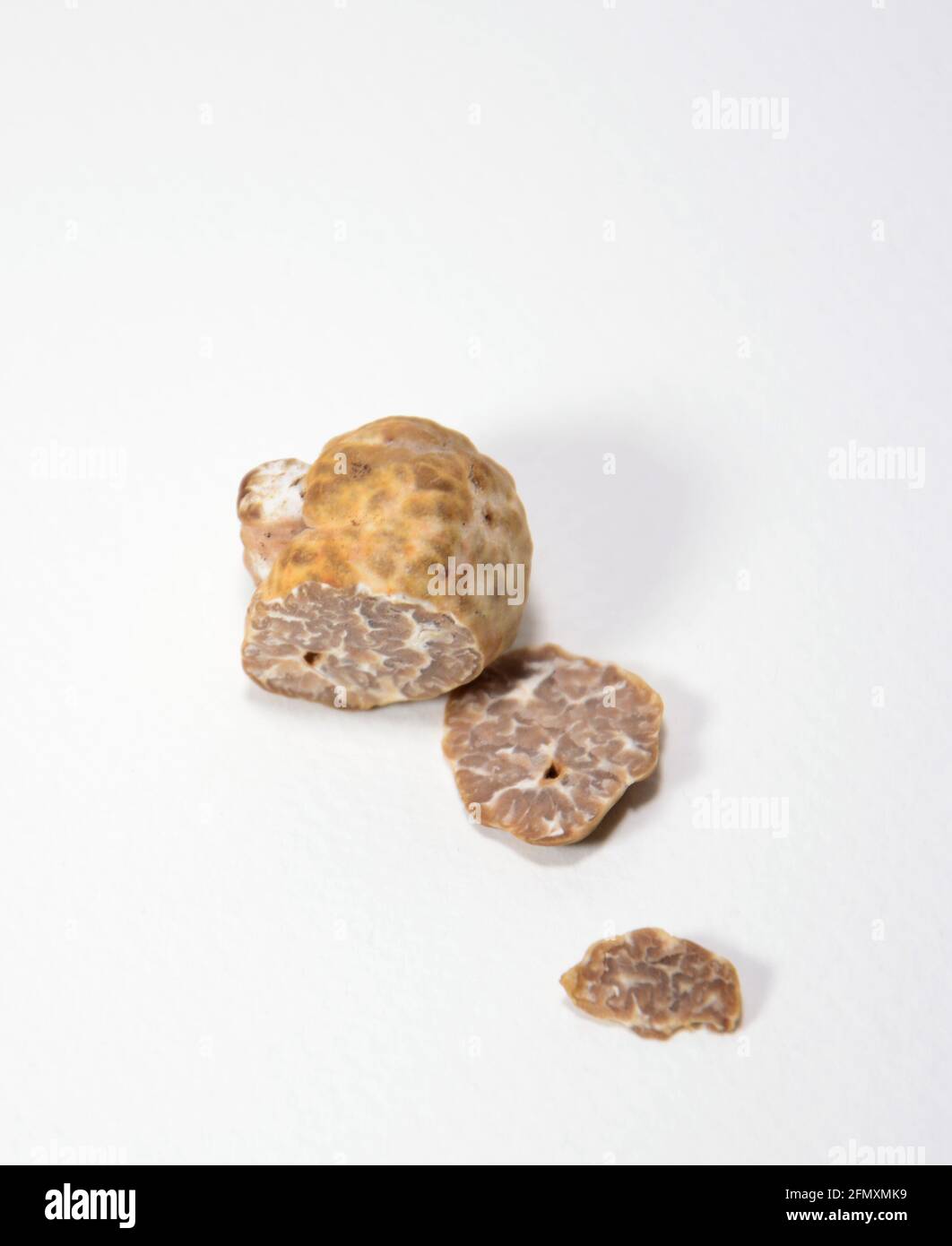 white truffle isolated on black / white background Stock Photo