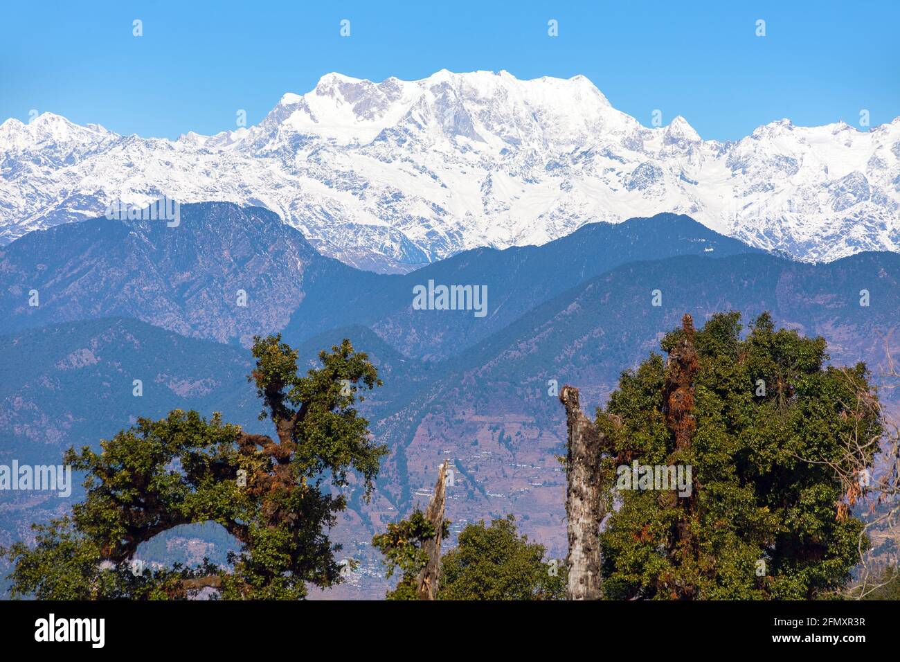 Mount Chaukhamba and woodland, Himalaya, panoramic view of Indian Himalayas mountains, great Himalayan range, Uttarakhand India, Gangotri range Stock Photo