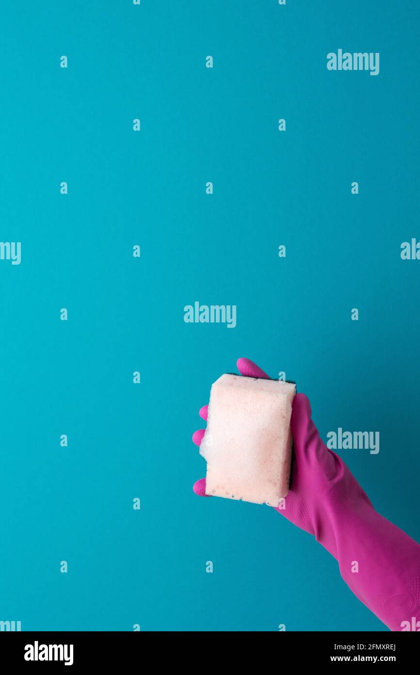 A hand in a purple protective rubber glove holds a pink washing sponge ...